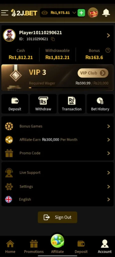 vip club interface